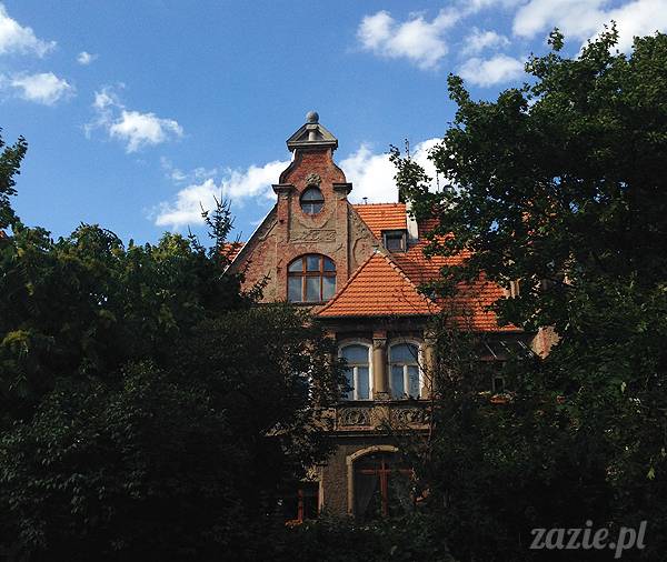 wakacje z mopsami, Wrocław, Zazie Syd Kumok Miszur lipiec 2015