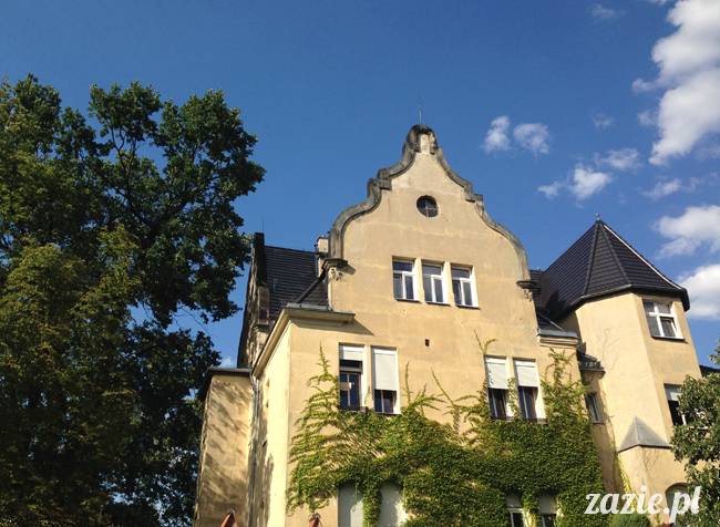 wakacje z mopsami, Wrocław, Zazie Syd Kumok Miszur lipiec 2015