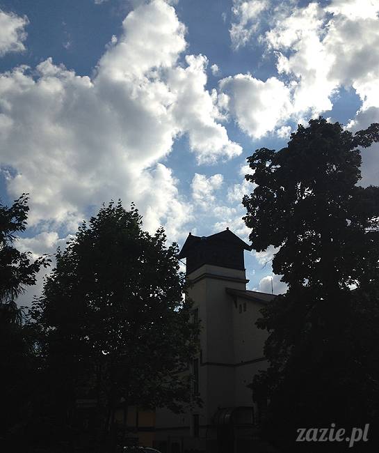 wakacje z mopsami, Wrocław, Zazie Syd Kumok Miszur lipiec 2015