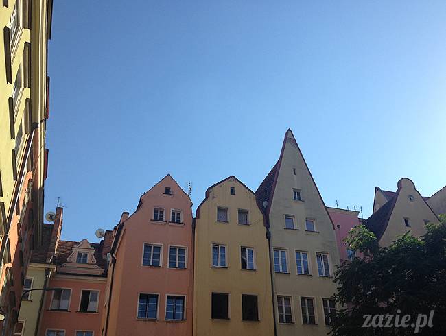 wakacje z mopsami, Wrocław, Zazie Syd Kumok Miszur lipiec 2015