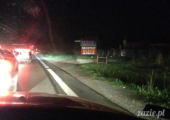 wakacje z mopsami, Wrocław, Zazie Syd Kumok Miszur lipiec 2015