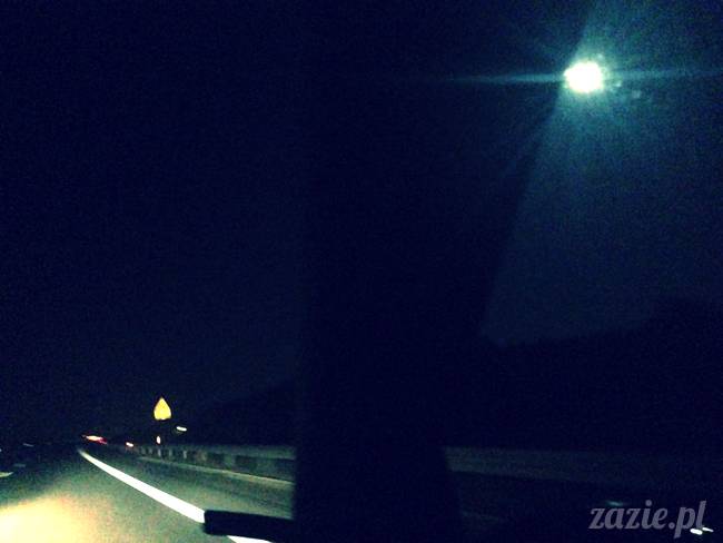 wakacje z mopsami, Wrocław, Zazie Syd Kumok Miszur lipiec 2015