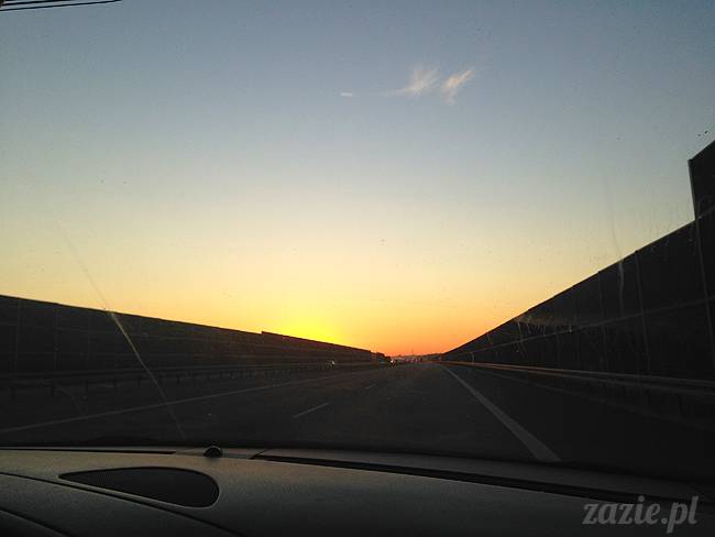 wakacje z mopsami, Wrocław, Zazie Syd Kumok Miszur lipiec 2015