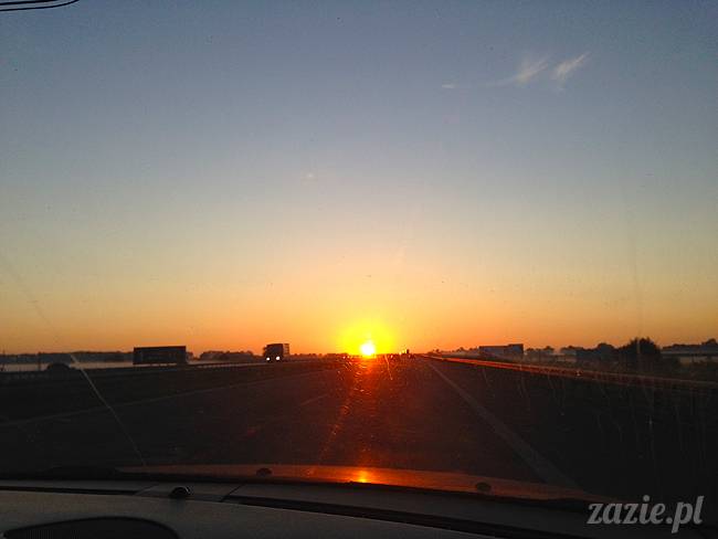 wakacje z mopsami, Wrocław, Zazie Syd Kumok Miszur lipiec 2015