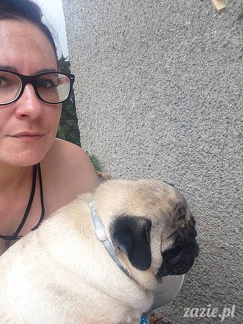 wakacje z mopsami, Wrocław, Zazie Syd Kumok Miszur lipiec 2015