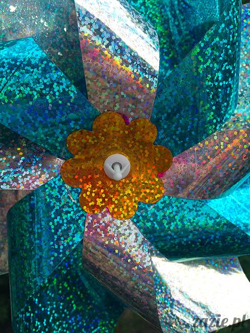 wakacje z mopsami, Wrocław, Zazie Syd Kumok Miszur lipiec 2015