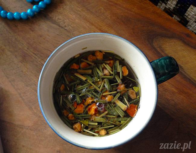 wakacje z mopsami, Wrocław, Zazie Syd Kumok Miszur lipiec 2015