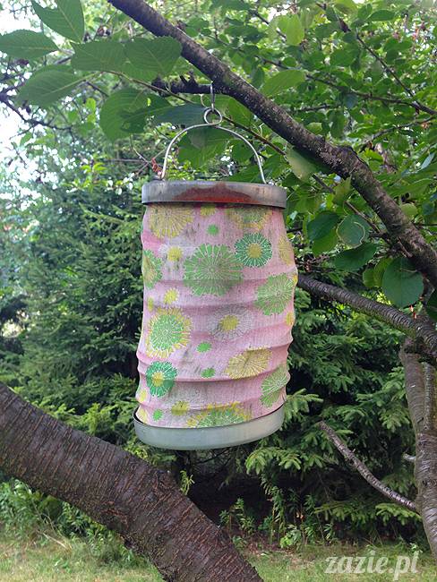 wakacje z mopsami, Wrocław, Zazie Syd Kumok Miszur lipiec 2015