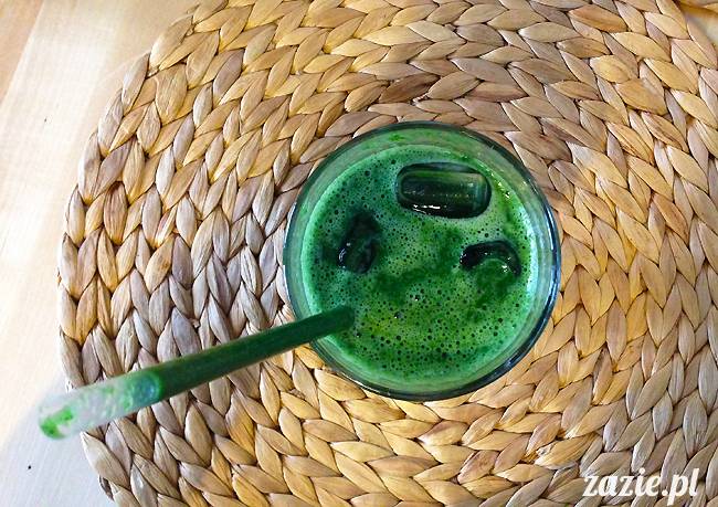 wakacje z mopsami, Wrocław, Zazie Syd Kumok Miszur lipiec 2015