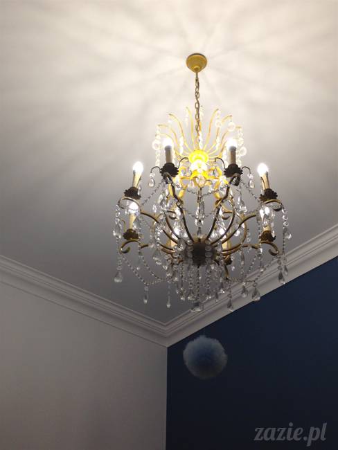 wakacje z mopsami, Wrocław, Zazie Syd Kumok Miszur lipiec 2015