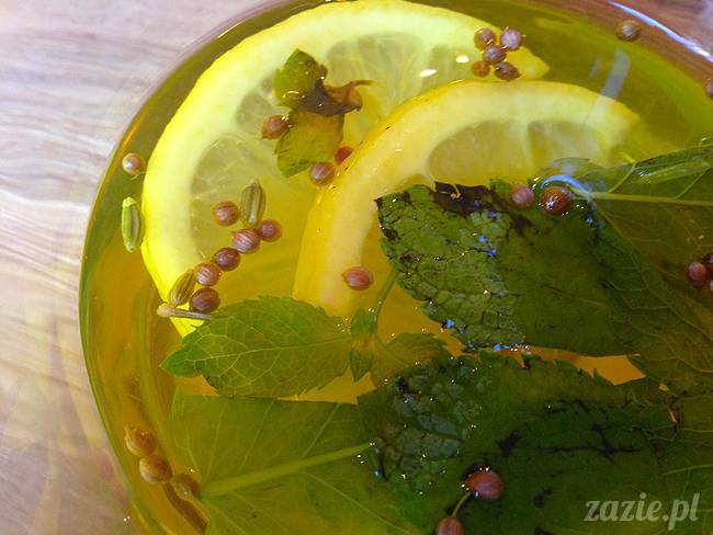 wakacje z mopsami, Wrocław, Zazie Syd Kumok Miszur lipiec 2015