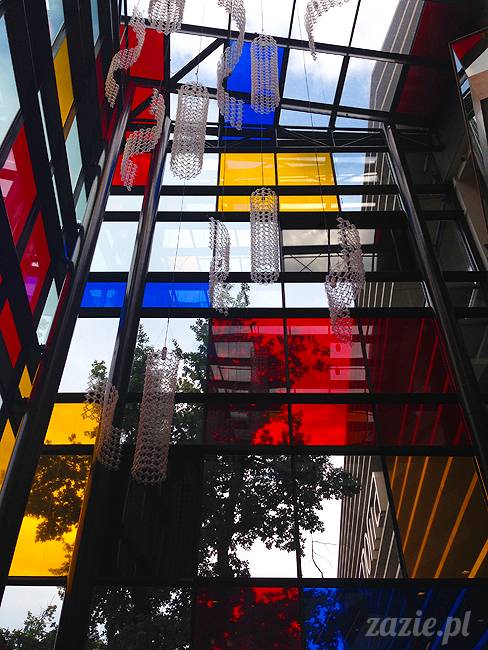 wakacje z mopsami, Wrocław, Zazie Syd Kumok Miszur lipiec 2015