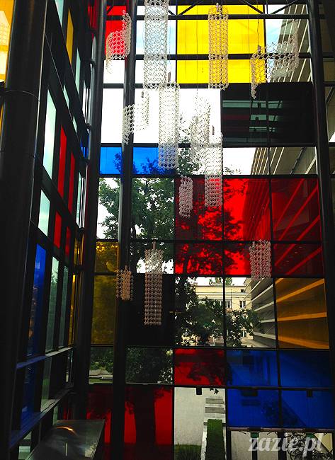 wakacje z mopsami, Wrocław, Zazie Syd Kumok Miszur lipiec 2015