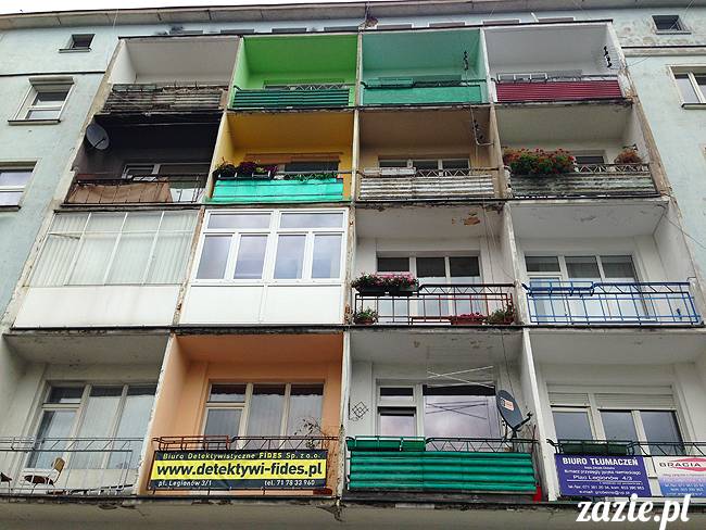 wakacje z mopsami, Wrocław, Zazie Syd Kumok Miszur lipiec 2015