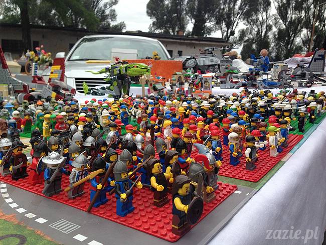 wakacje z mopsami, Wrocław, Zazie Syd Kumok Miszur lipiec 2015