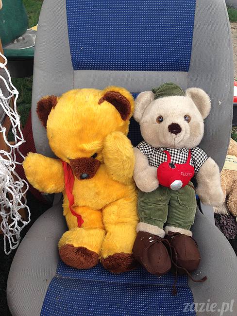 wakacje z mopsami, Wrocław, Zazie Syd Kumok Miszur lipiec 2015