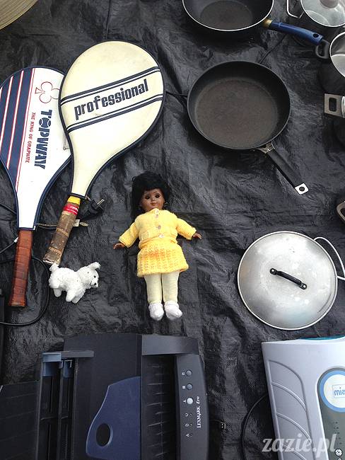 wakacje z mopsami, Wrocław, Zazie Syd Kumok Miszur lipiec 2015