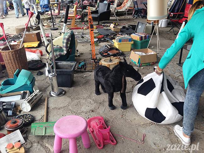 wakacje z mopsami, Wrocław, Zazie Syd Kumok Miszur lipiec 2015