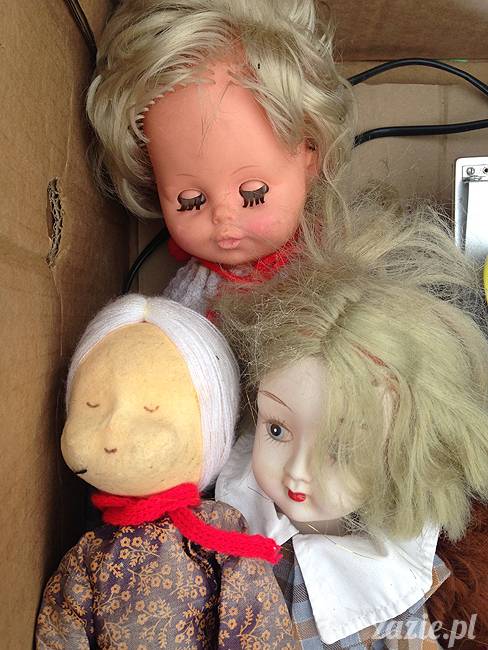 wakacje z mopsami, Wrocław, Zazie Syd Kumok Miszur lipiec 2015