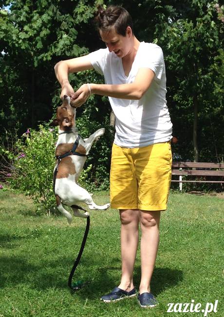 wakacje z mopsami, Wrocław, Zazie Syd Kumok Miszur lipiec 2015