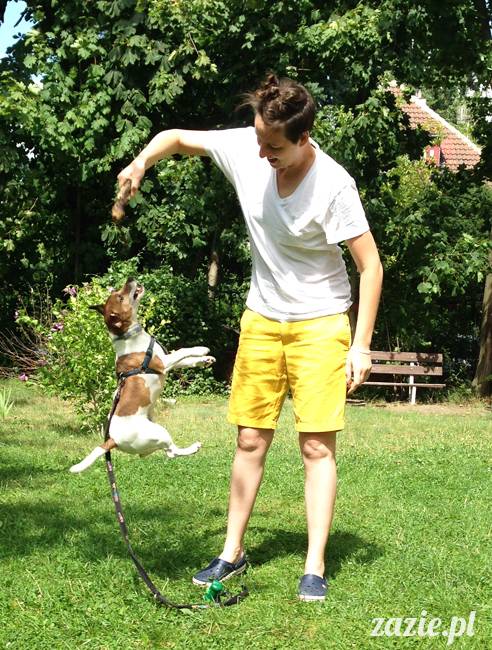 wakacje z mopsami, Wrocław, Zazie Syd Kumok Miszur lipiec 2015