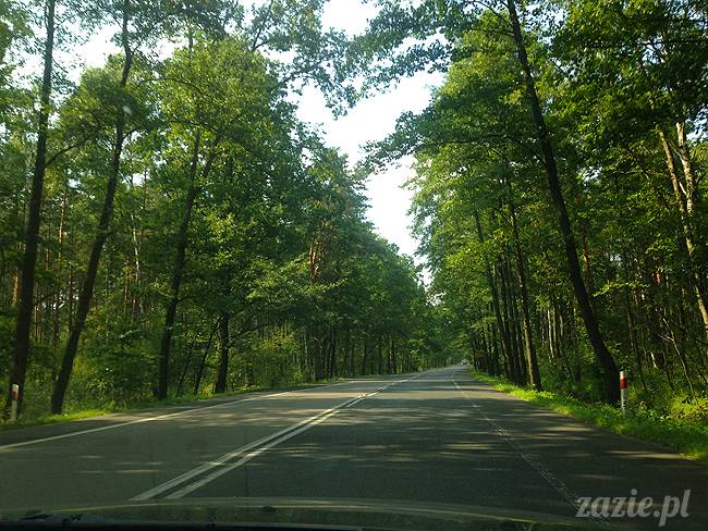 Jezioro Zegrzyńskie pod warszawą, Zegrze, Rynia, Rio de Zegrzynejro, Zazie i Syd