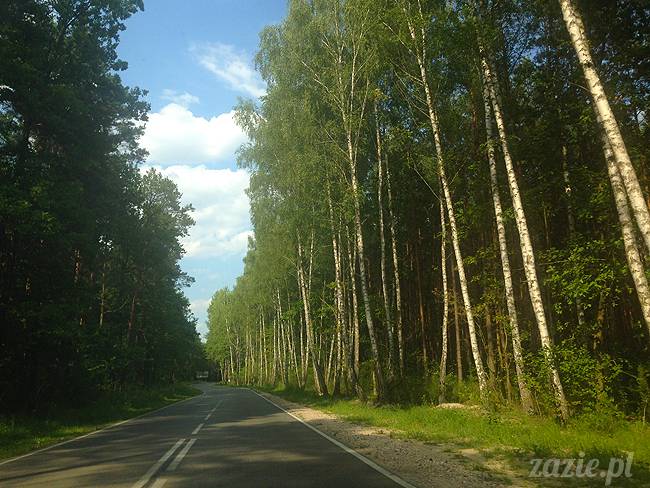 Jezioro Zegrzyńskie pod warszawą, Zegrze, Rynia, Rio de Zegrzynejro, Zazie i Syd