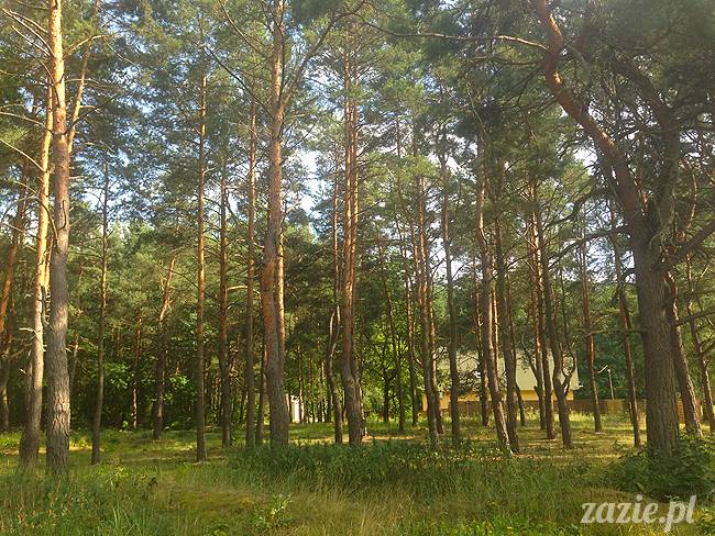 Jezioro Zegrzyńskie pod warszawą, Zegrze, Rynia, Rio de Zegrzynejro, Zazie i Syd