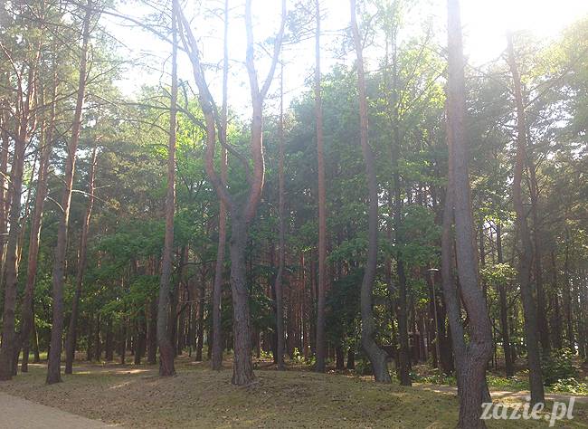 Jezioro Zegrzyńskie pod warszawą, Zegrze, Rynia, Rio de Zegrzynejro, Zazie i Syd