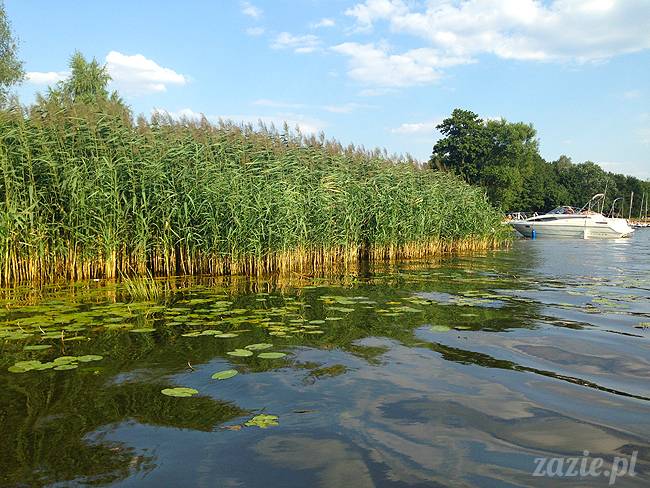 Jezioro Zegrzyńskie pod warszawą, Zegrze, Rynia, Rio de Zegrzynejro, Zazie i Syd