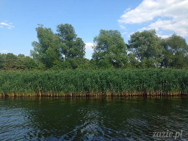 Jezioro Zegrzyńskie pod warszawą, Zegrze, Rynia, Rio de Zegrzynejro, Zazie i Syd