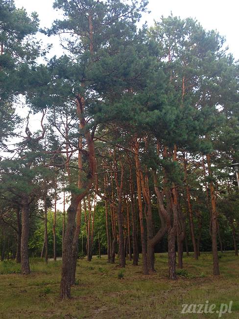 Jezioro Zegrzyńskie pod warszawą, Zegrze, Rynia, Rio de Zegrzynejro, Zazie i Syd