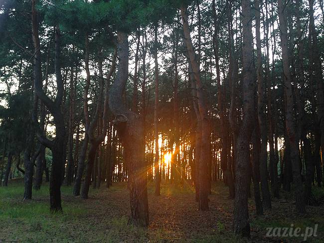 Jezioro Zegrzyńskie pod warszawą, Zegrze, Rynia, Rio de Zegrzynejro, Zazie i Syd