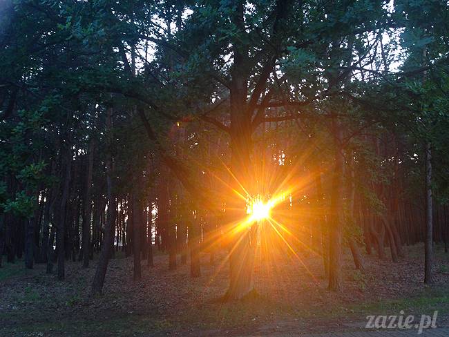 Jezioro Zegrzyńskie pod warszawą, Zegrze, Rynia, Rio de Zegrzynejro, Zazie i Syd