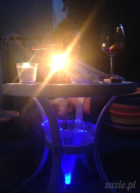 migawki z mijającego lata, Warszawa Zazie i Syd