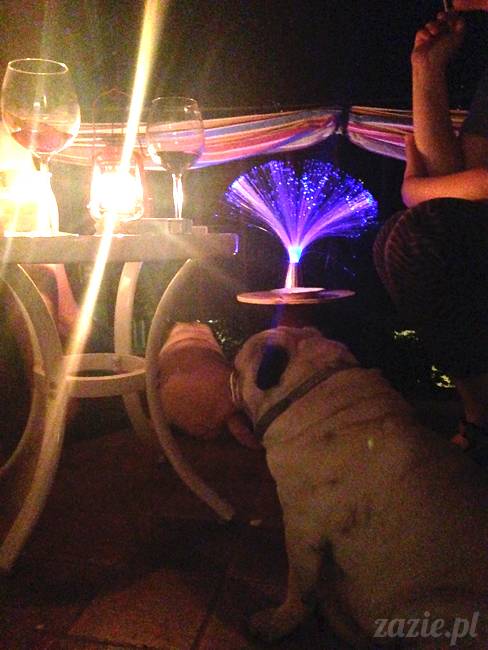 migawki z mijającego lata, Warszawa Zazie i Syd