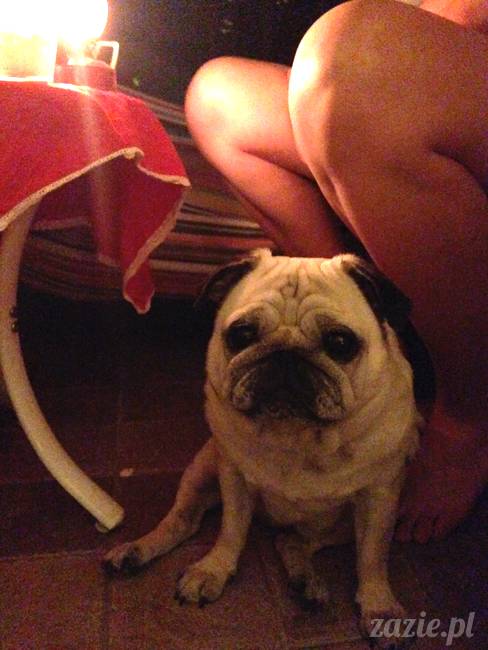 najmilsze zakończenie wakacji, Wrocław kocha Warszawę, Warszawa kocha Wrocław, Zazie i Syd, Bianeczka i Aneczka