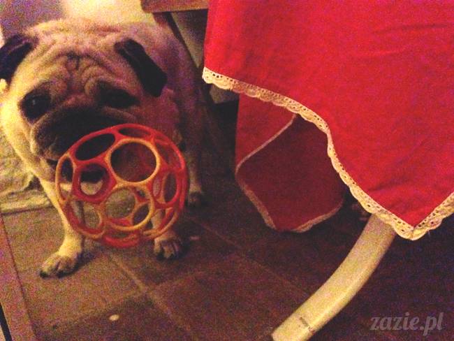 najmilsze zakończenie wakacji, Wrocław kocha Warszawę, Warszawa kocha Wrocław, Zazie i Syd, Bianeczka i Aneczka