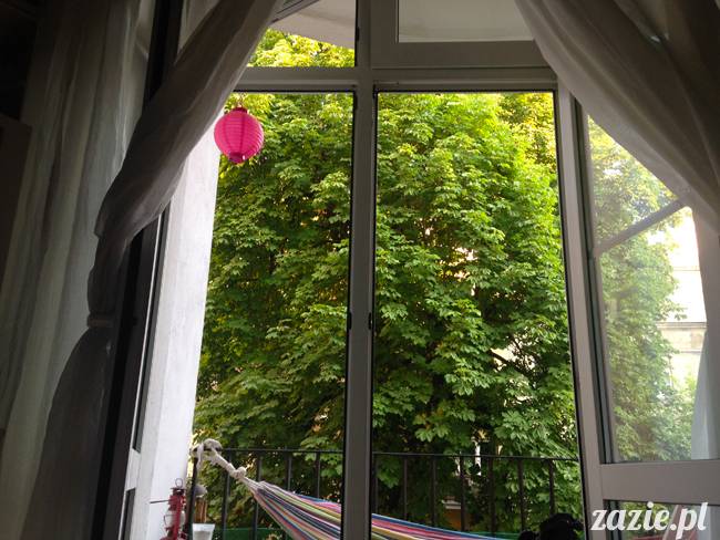 upalne lato z mopsami mopsikami, mopsy Kumok i Miszur