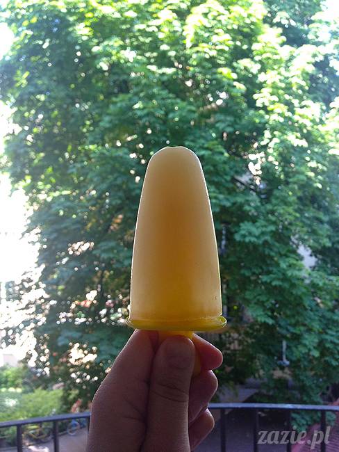 upalne lato z mopsami mopsikami, mopsy Kumok i Miszur