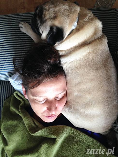 wrzesien zazie i syd oraz mopsiki kumok i miszur