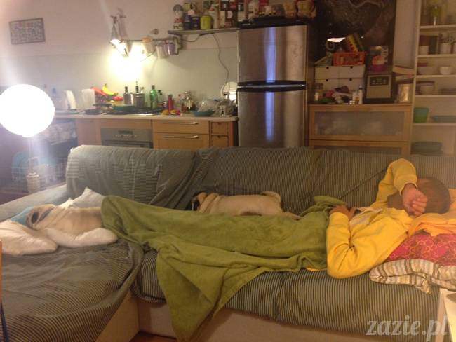 wrzesien zazie i syd oraz mopsiki kumok i miszur