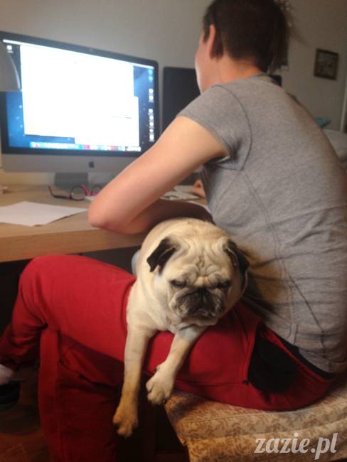 wrzesien zazie i syd oraz mopsiki kumok i miszur