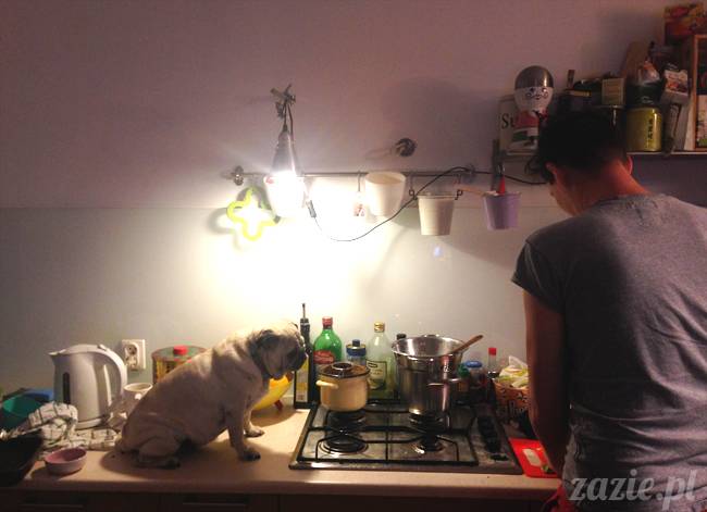 wrzesien zazie i syd oraz mopsiki kumok i miszur