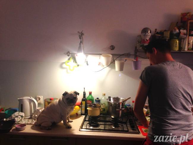 wrzesien zazie i syd oraz mopsiki kumok i miszur