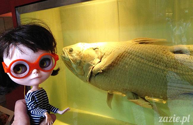 BCUK2015, Blythecon UK 2015 London, Zazie Dolls, Orka aka Mały Kasztan w Londynie