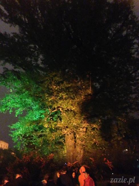 Ochocianie Sąsiedzi, Potańcówka w Parku Wielkopolskim, Stara Ochota