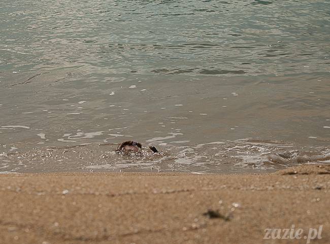 Rarka Orka aka mały Kasztan, Blythe Simply Chocolate, Zazie Custom Blythe Dolls