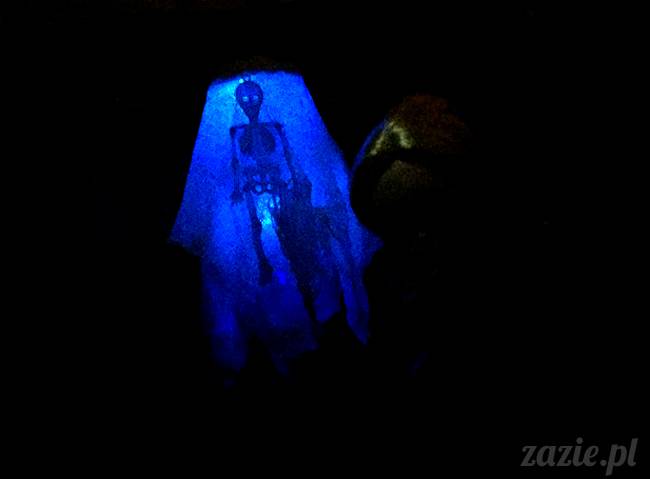 Dolly Halloween, custom Blythe doll, Zazie Dolls, lalka Blythe, lalka Blajt