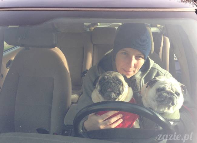 kumok_miszur_mopsy_mopsiki_08